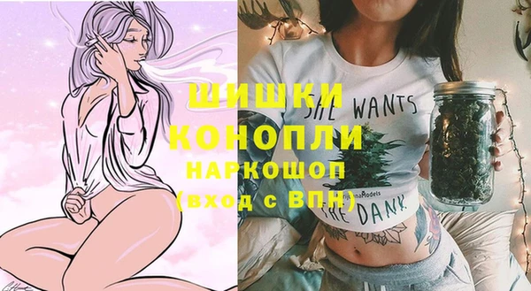 мдпв Володарск