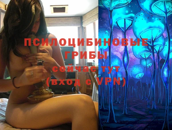 дурь Волосово
